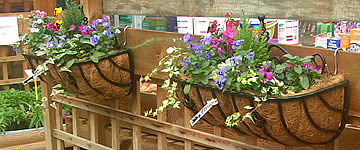 Hanging Basket Brackets and Accessories