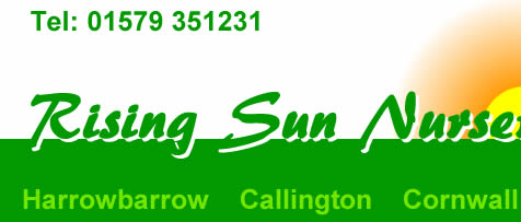 Rising Sun Nurseries Callington Cornwall