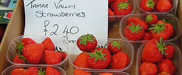 Seasonal Fresh Fruit and Vegetables 